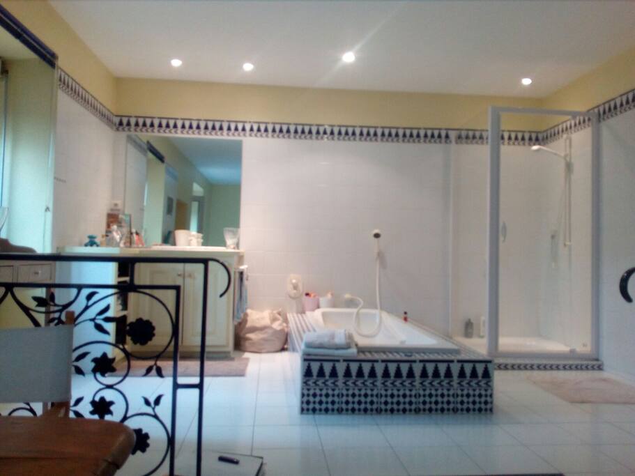 L espace «bain»