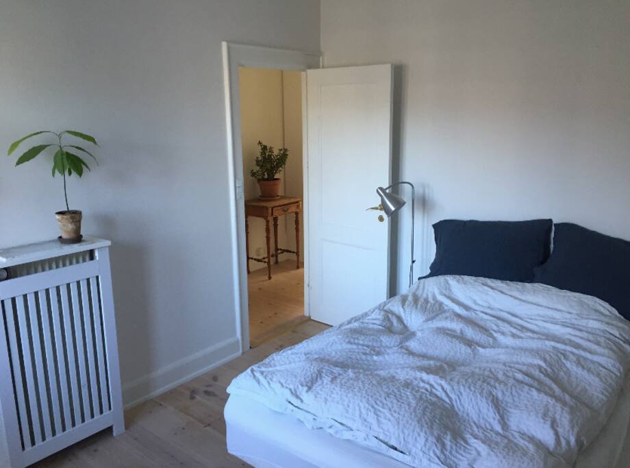 Bed room with entry to hall and bathroom