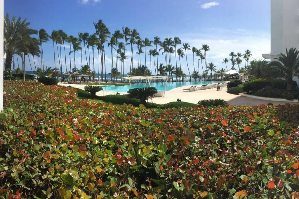 View from your balcony