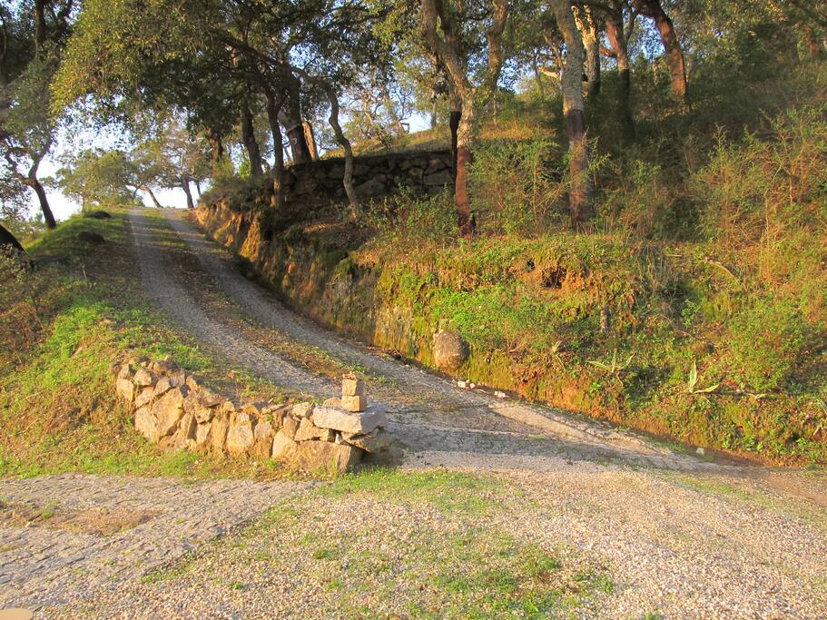 driveway