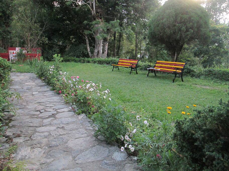 Front lawn outside bungalow