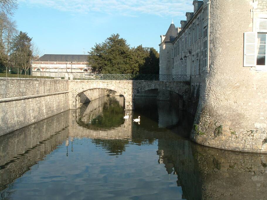 Mote surrounding the Chateau