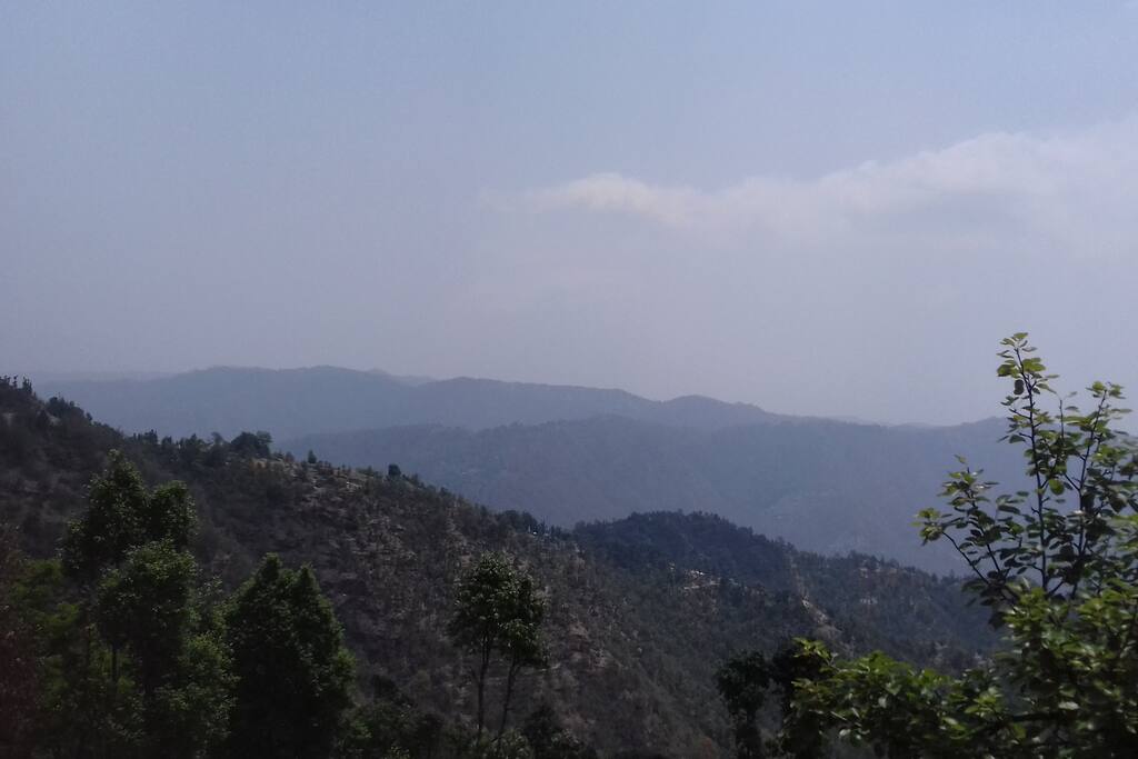 Nature Surrounding