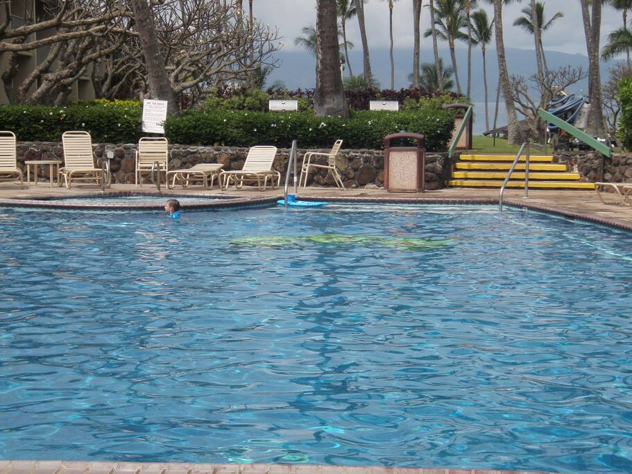 Garden pool and spa.