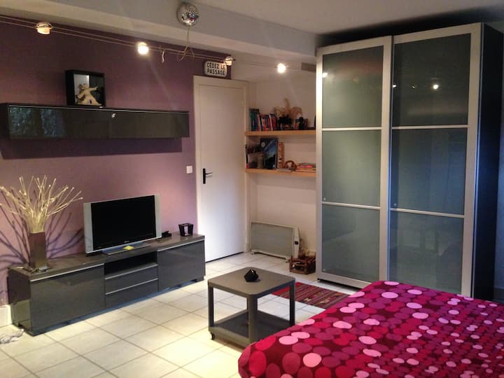 Studio Entre Disneyland Et Paris - Bry-sur-Marne