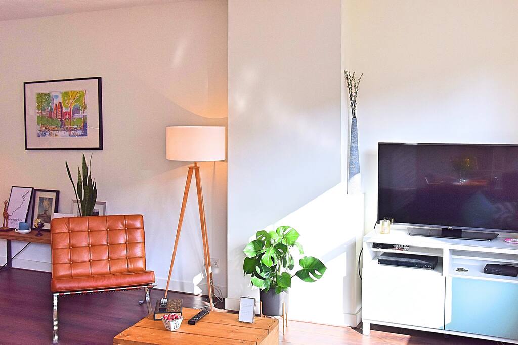 Living room with comfy Barcelona designer chair