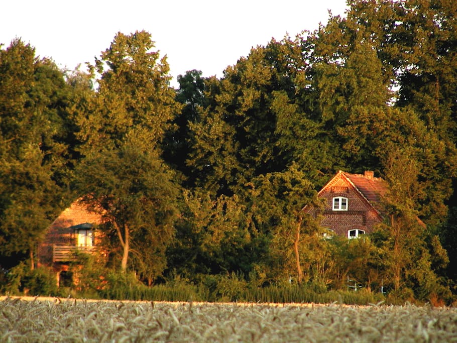 Einblick auf die "Alte Ziegelei". Das linke Haus ist das Ferienhaus.