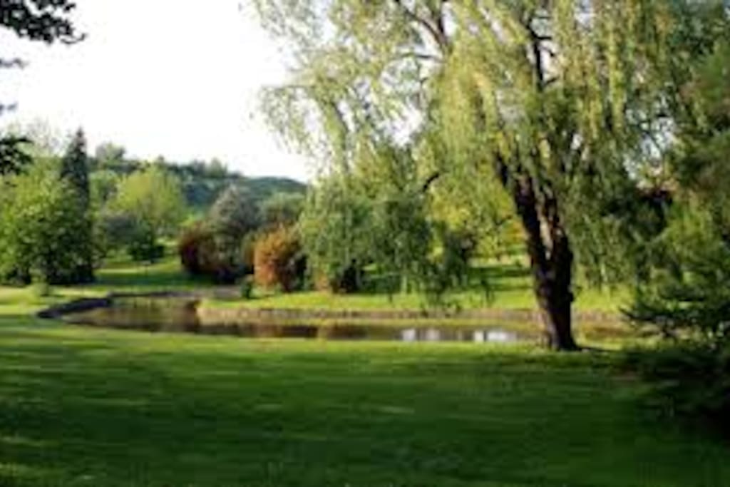 Centennial Park is a 10min walk from the apartment, great place to take a walk or run