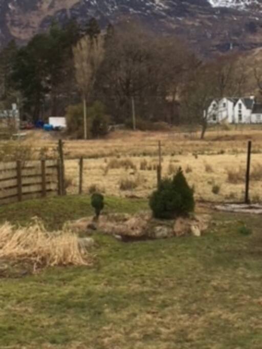 The garden from the kitchen window.