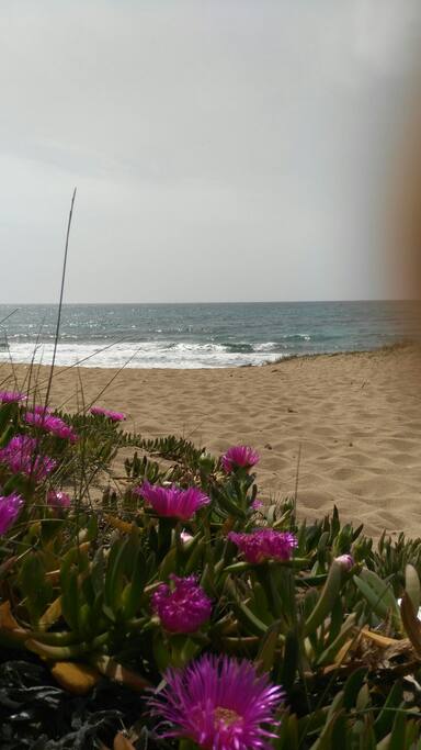 Il nostro mare