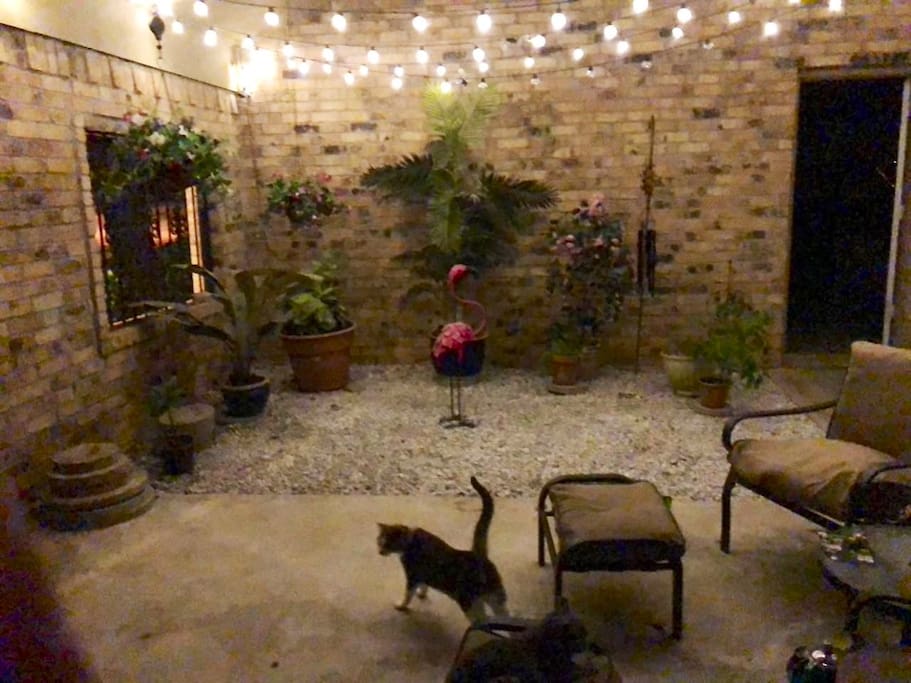 Atrium area to relax!