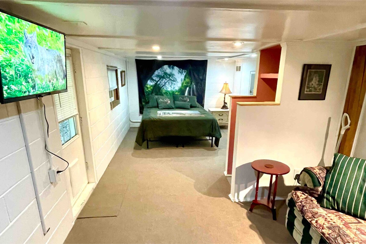 The basement bedroom has a queen bed, a love seat, Roku TV, and a desk. It also has two windows and a door leading outside. 