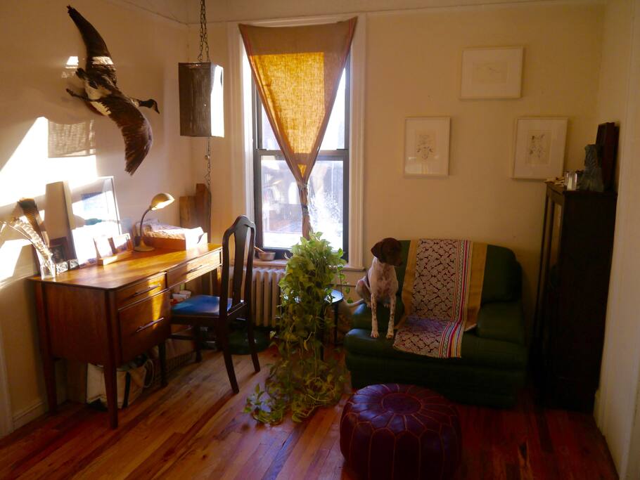 The reading room