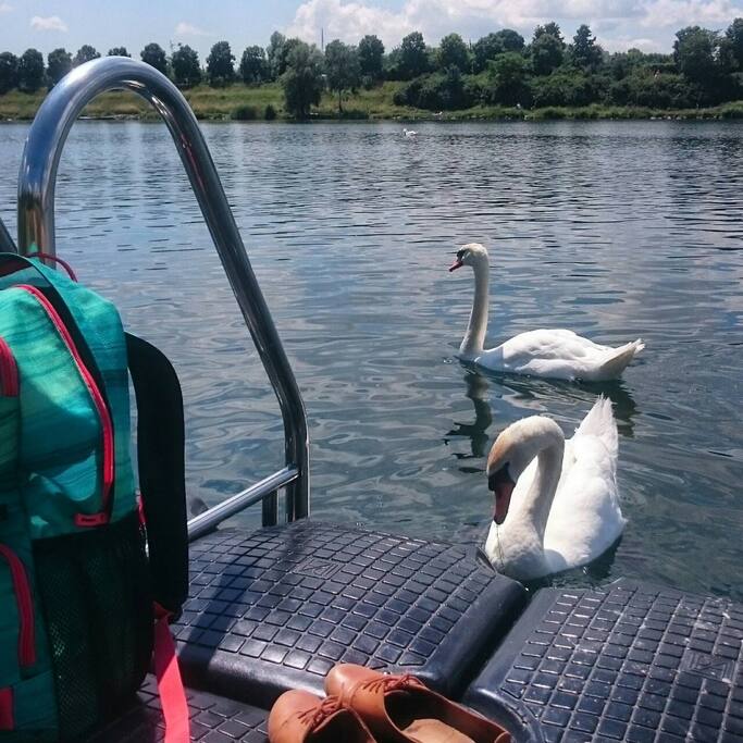 The river Danube is 2 walking minutes from the accommodation