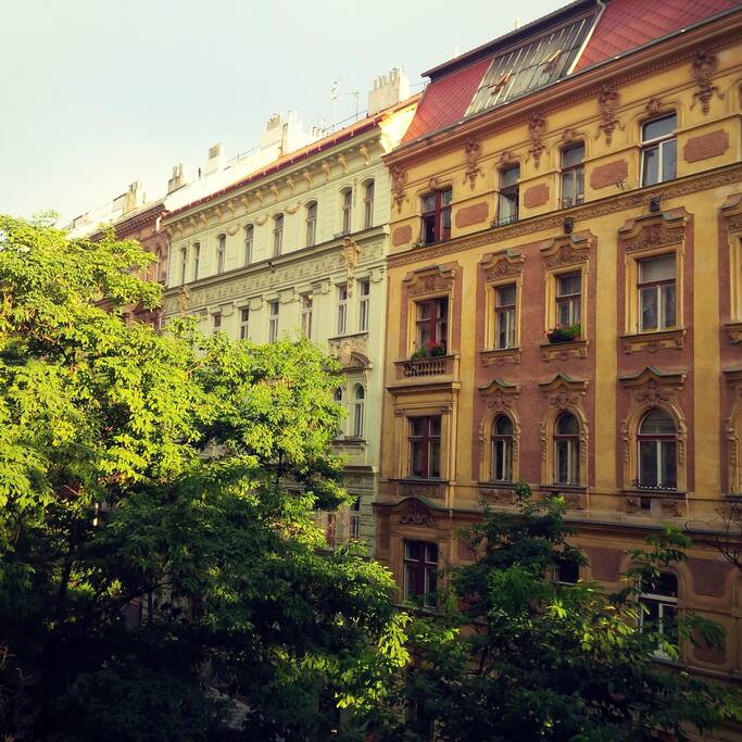August. View from the living room