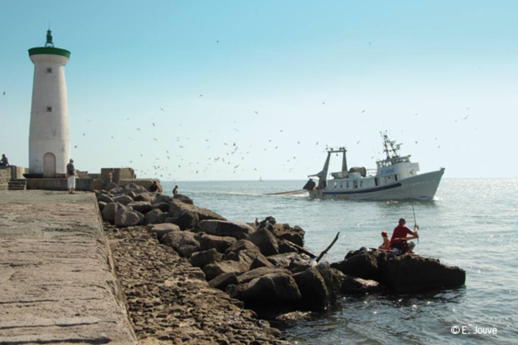 Entrée du port