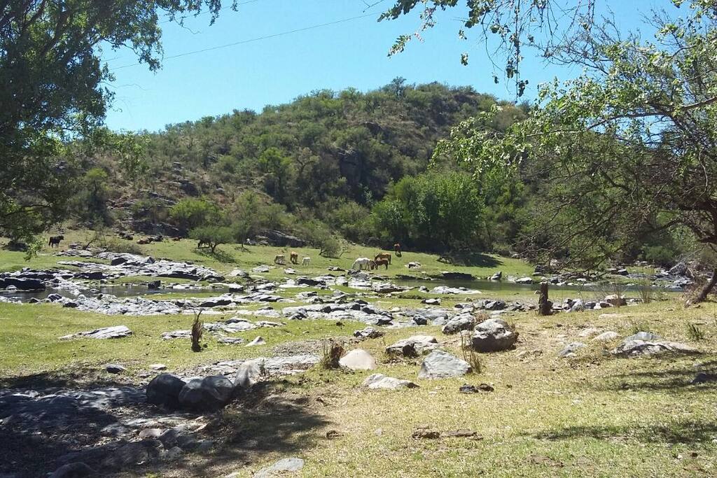 Río que pasa por delante