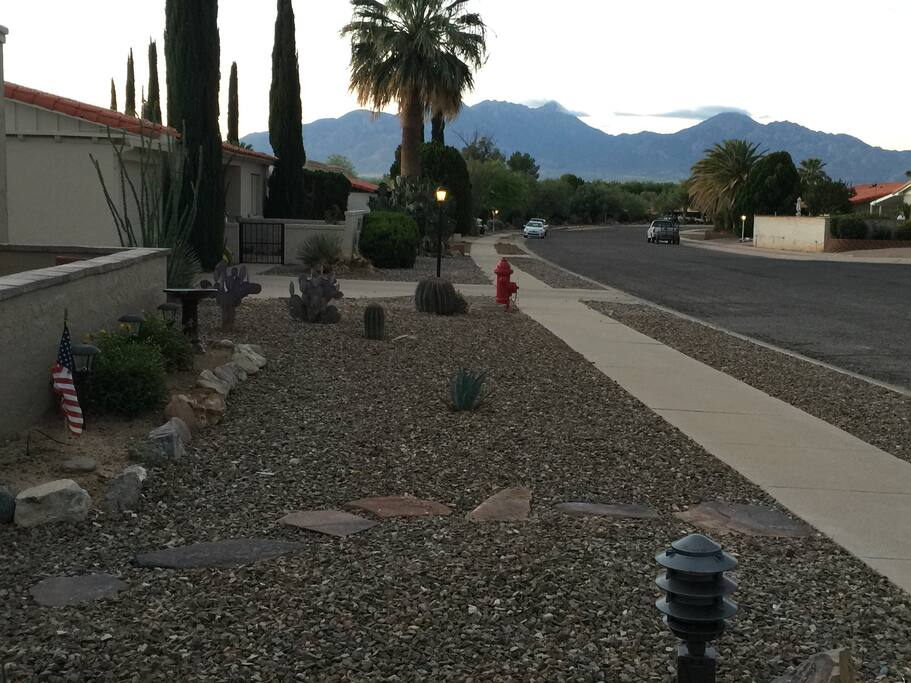 Front yard view