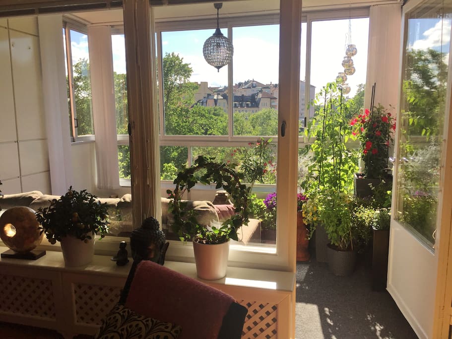 Balcony - The favorite room