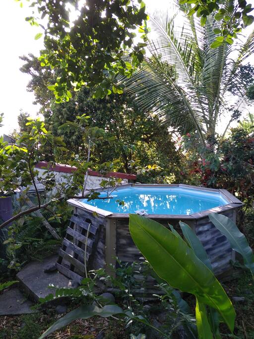 Piscinette à punch (à nattoyer le premier qui y va se rafraichir!)