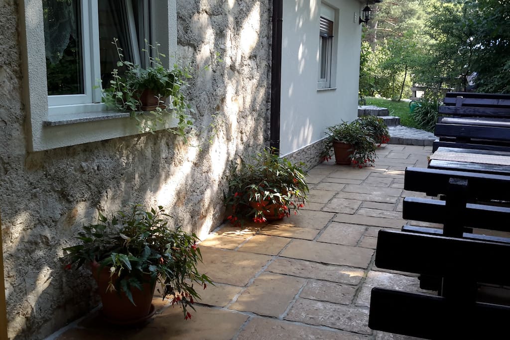 Terrace behind the house