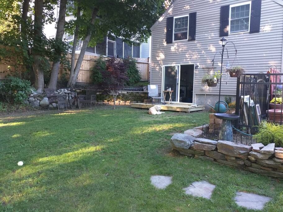 Back yard.