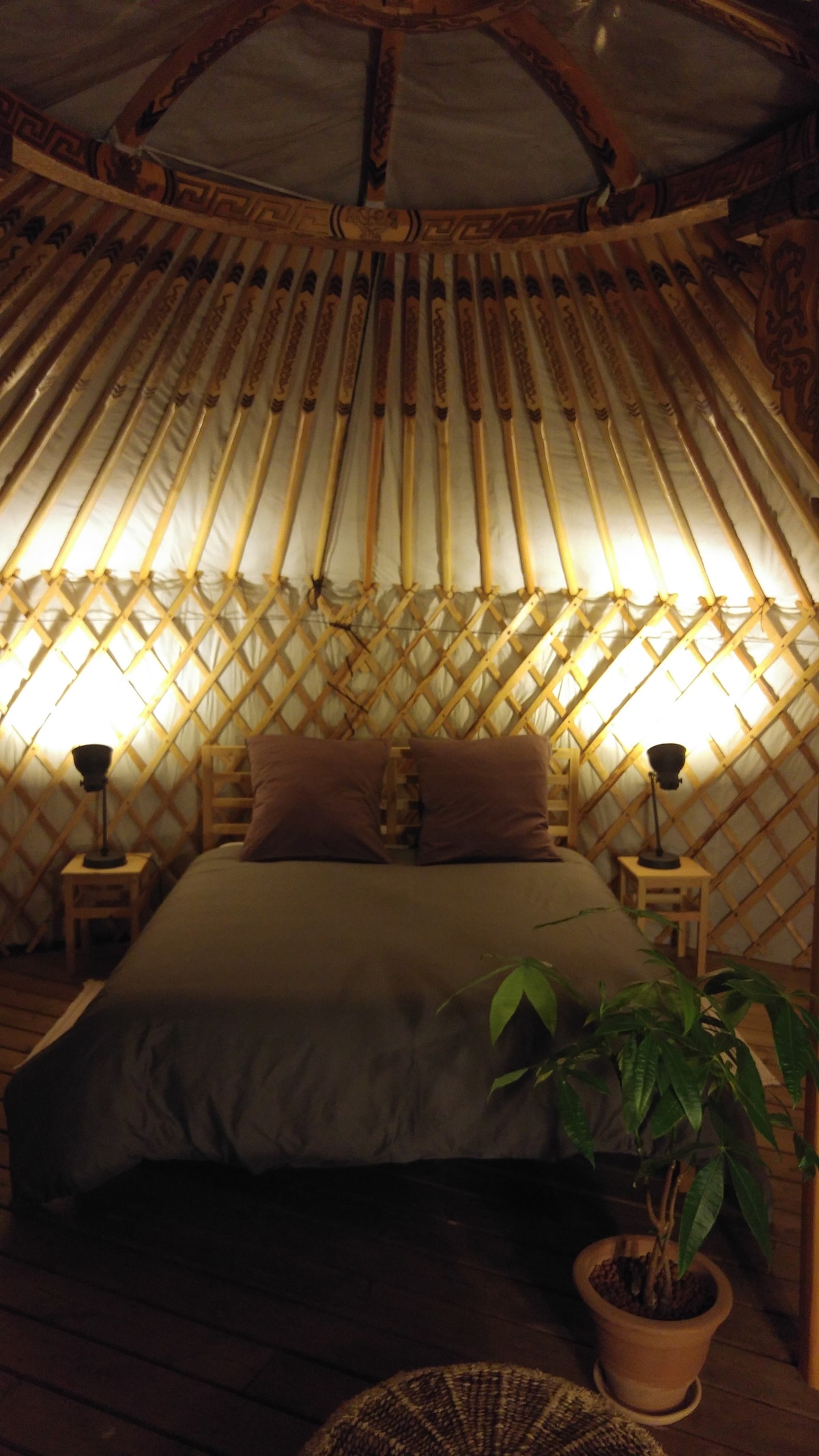 An inviting sleeping area within the traditional yurt features a spacious bed adorned with neutral-toned linens and two plush pillows. Soft light from bedside lamps illuminates the intricately designed wooden interior, complemented by a potted plant, enhancing the natural ambiance.
