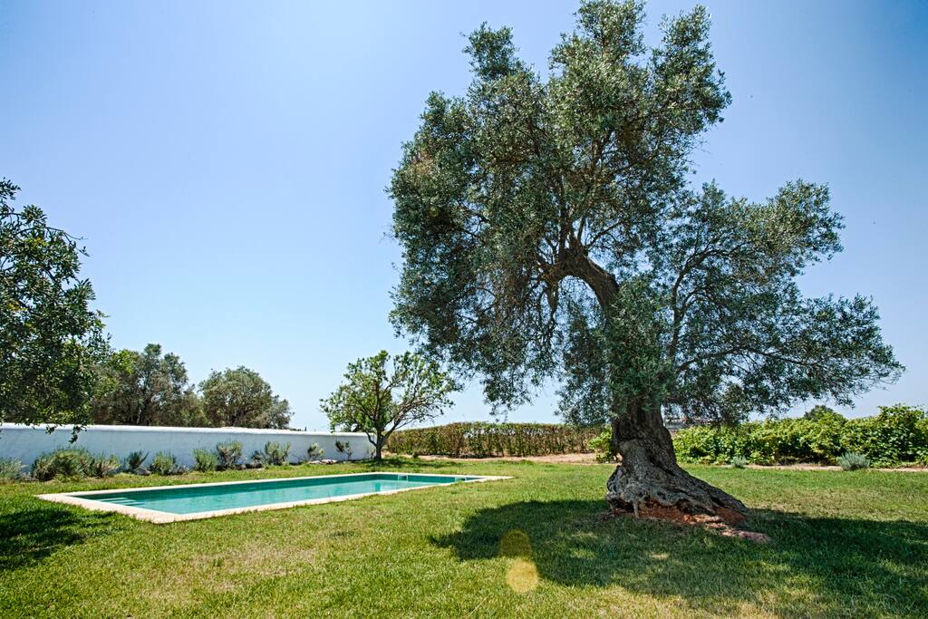 Pool and surroundings.