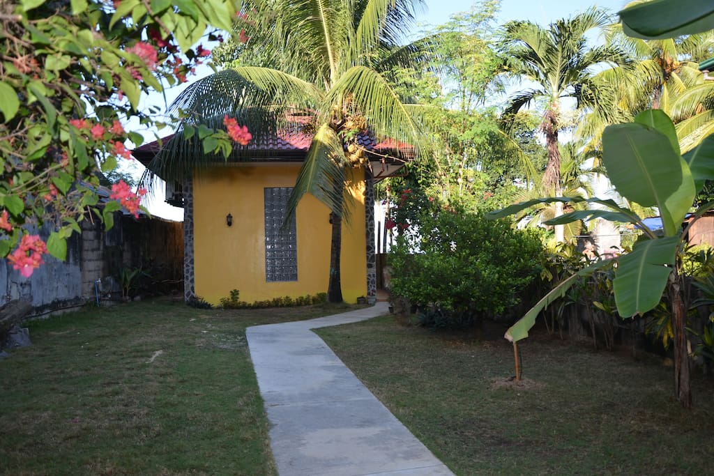 front view