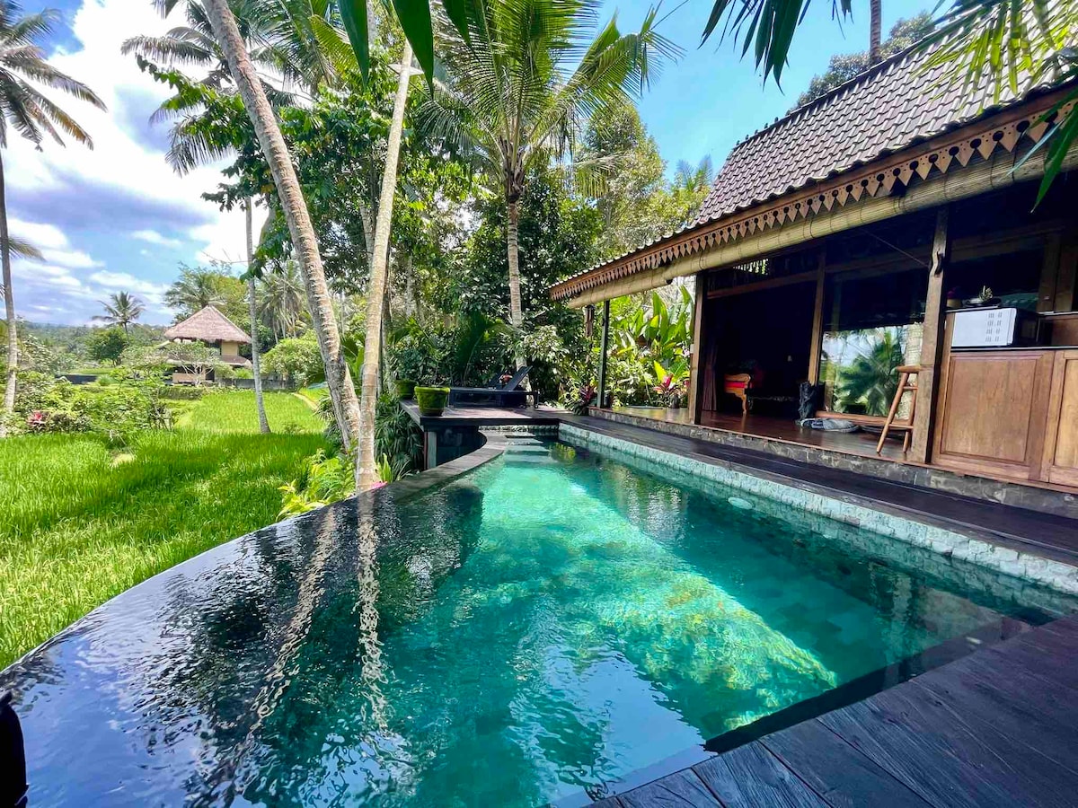 An infinity pool with clear water reflects the surrounding greenery and palm trees. The pool is bordered by a wooden deck, leading to an antique villa with open spaces. Lush rice fields are visible in the background under a bright sky, enhancing the tranquil setting.