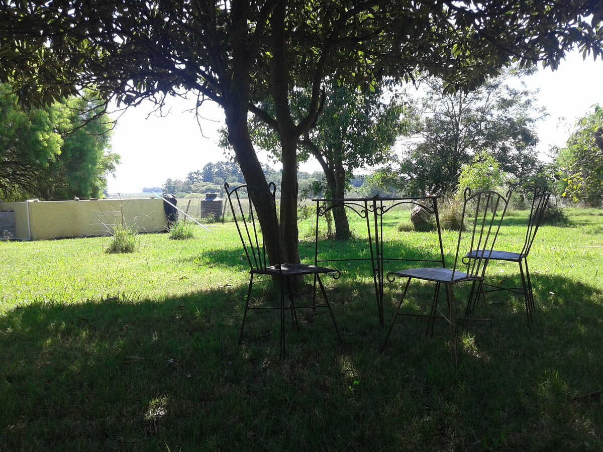 A shaded outdoor seating area features four metal chairs arranged around a small table. The setting is surrounded by green grass and trees, with open fields visible in the background, creating a calm and natural environment.