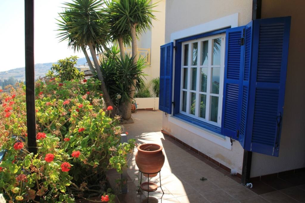 The front garden