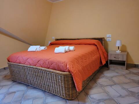 Magnificent Tourist Accommodation 5