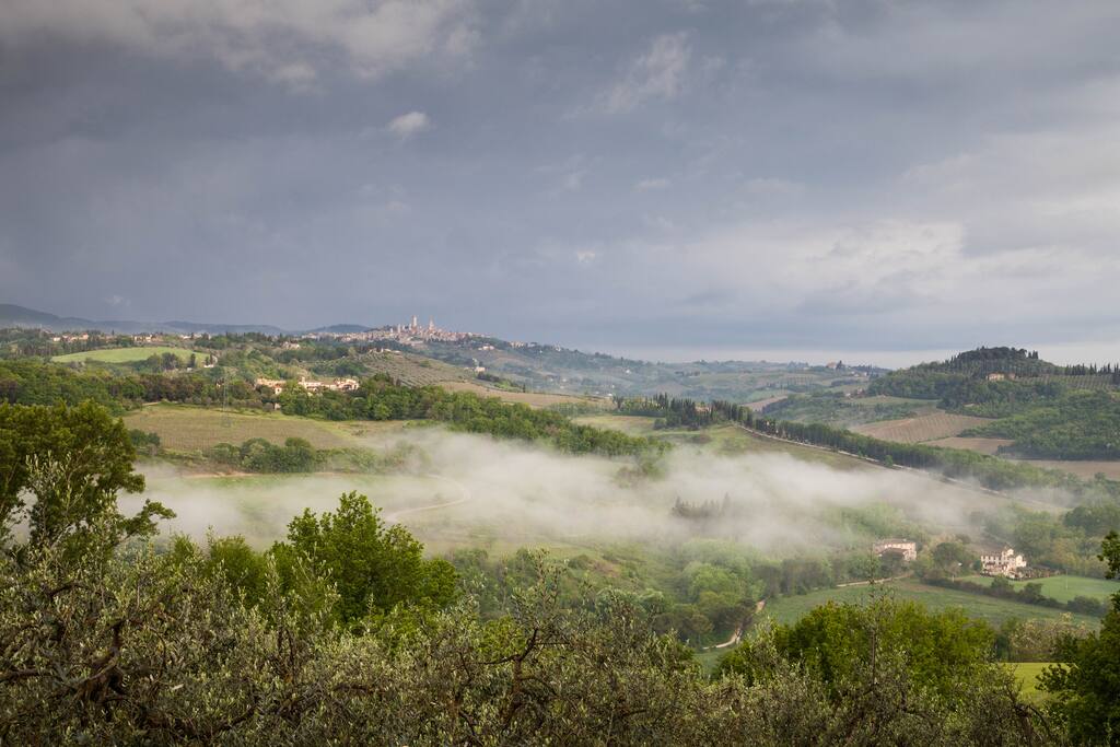 Panoramic view