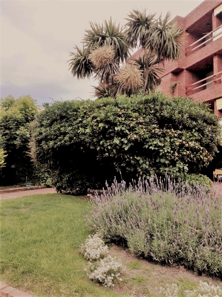 Popular Airbnb listing: Nice apartment in Punta del Este! Panorama I in Punta Del Este