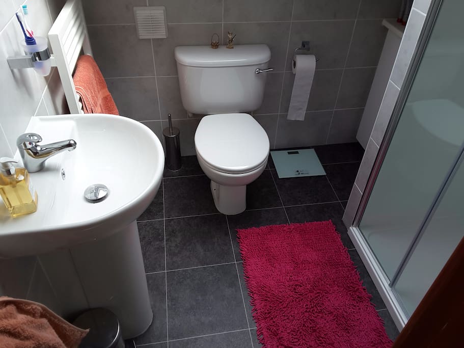 Private shower room beside bedroom