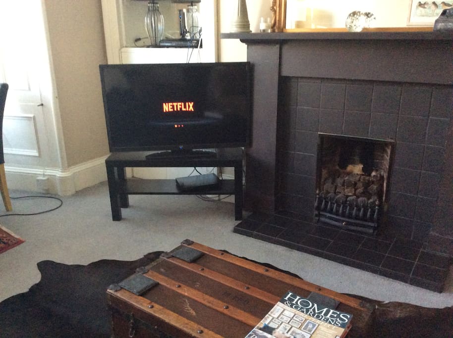 New addition- TV with Netflix