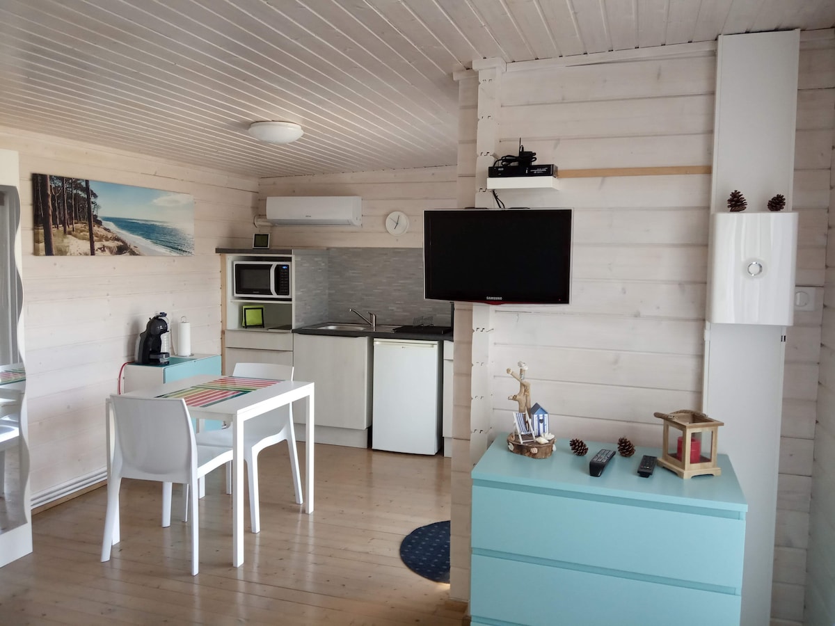 A bright living area is presented with wooden walls and smooth flooring. A compact kitchen area is visible, featuring a refrigerator and microwave. A dining table with four chairs occupies the space, complemented by a television mounted on the wall. Decorative items add a subtle touch.