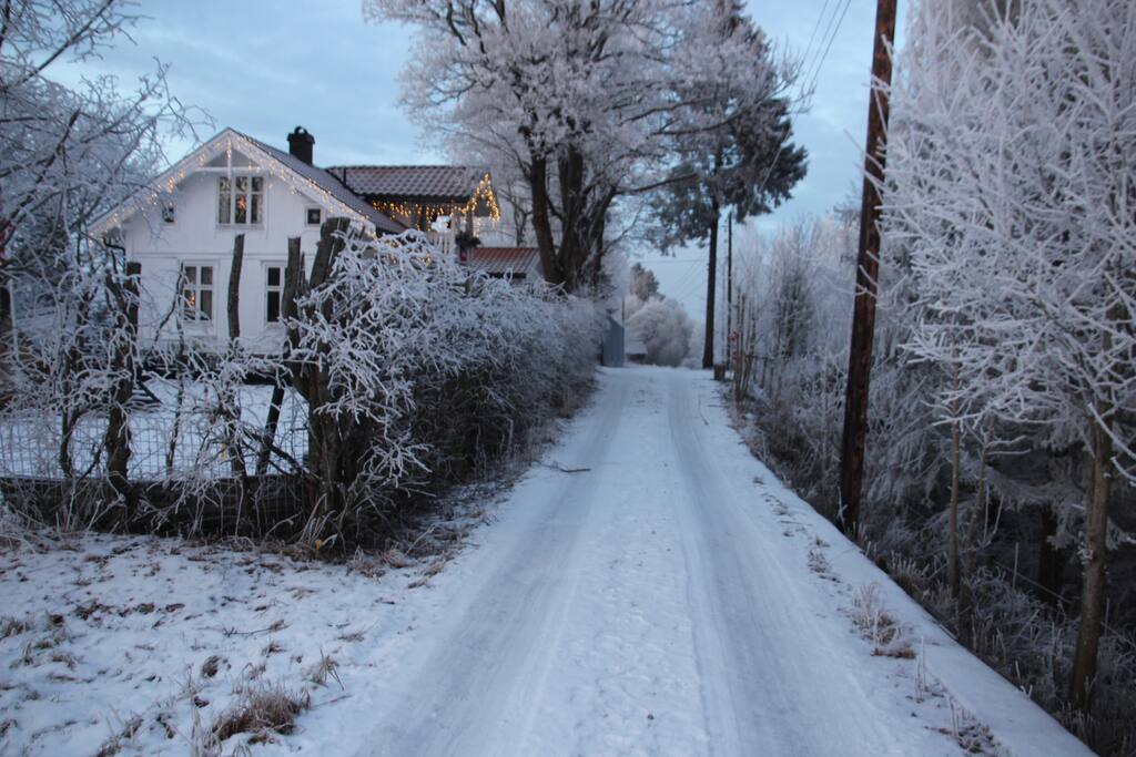 House is on a dirt road without neighbors.