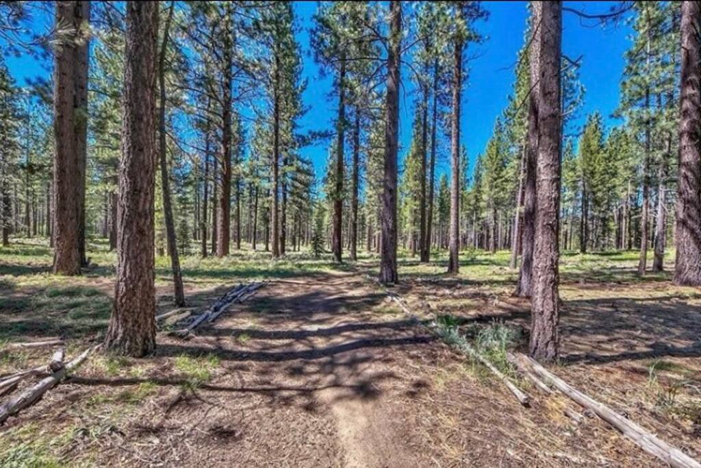 Walking trail around the corner