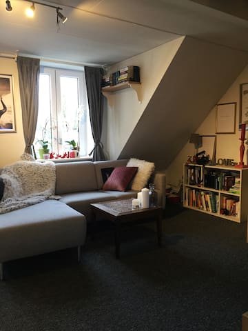 Charming room for your retreat in Aalborg
