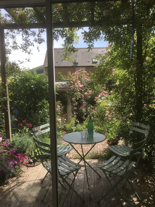 Looking into the garden from the room