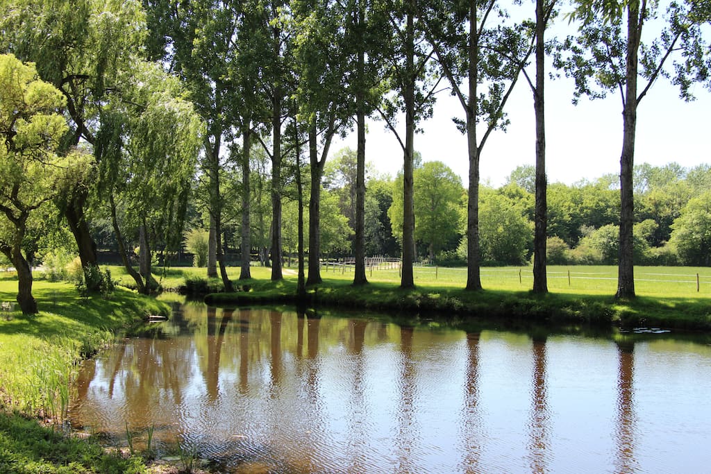 Plan d'eau, bras de l'Indre devant le séjour