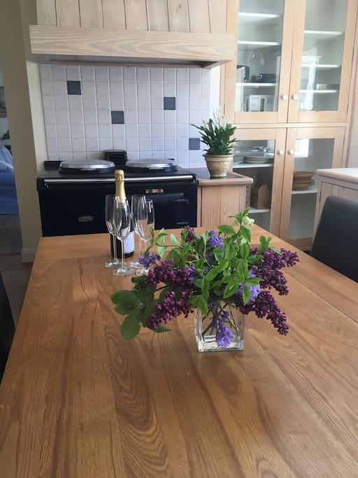 Kitchen with Aga