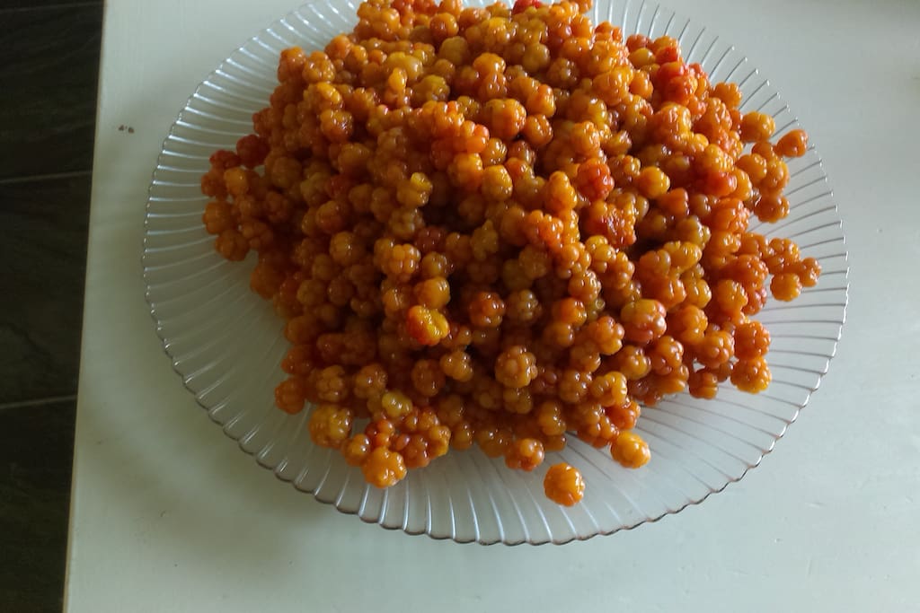 Cloudberries from the woods