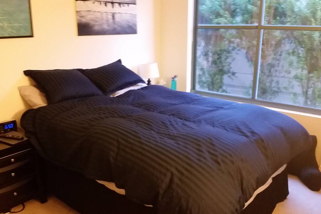 Comfortable bed and spacious bedroom with closet space.