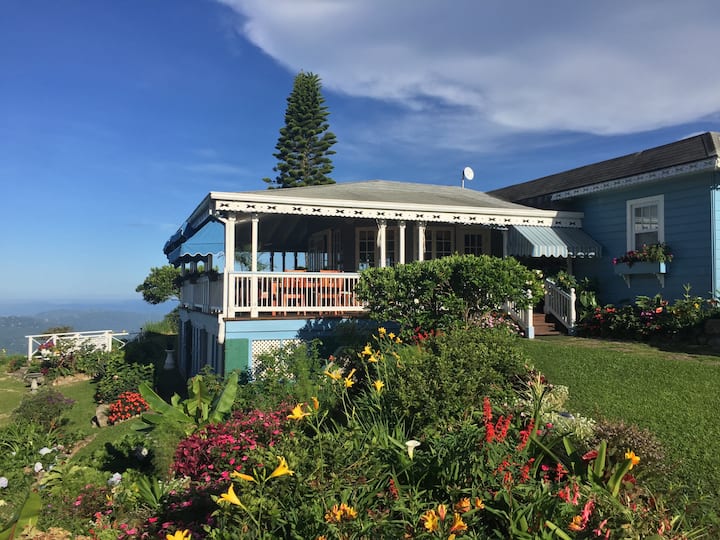 Top 7 Luxury Airbnbs In Kingston, Jamaica Updated 2024 Trip101