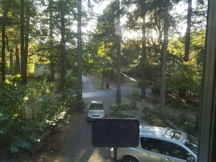 Circular paved driveway offers ample parking for your car and ours. Please park to far right of garage doors to allow use of roundabout.