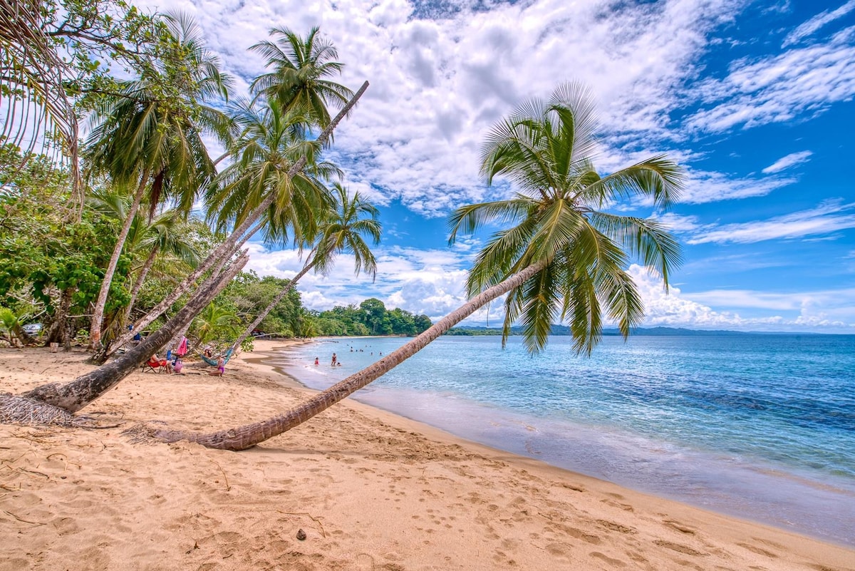 A serene beach scene is displayed, featuring soft golden sand and gentle waves lapping at the shore. Lush green palm trees lean over the water, and people are seen lounging on the beach in the distance. The clear blue sky is dotted with fluffy white clouds.