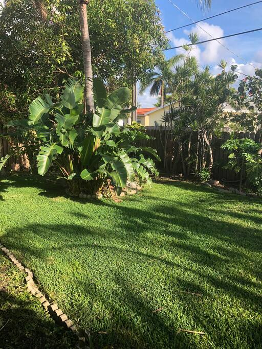 Yard